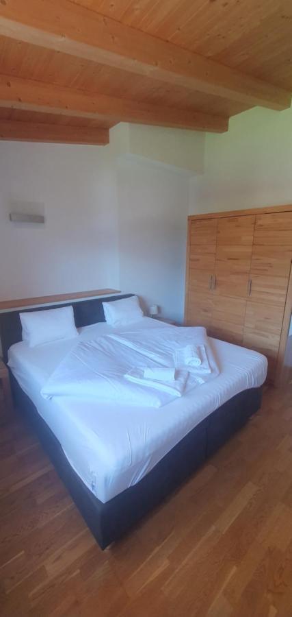 Apartment Hohe Tauern Piesendorf Exterior foto